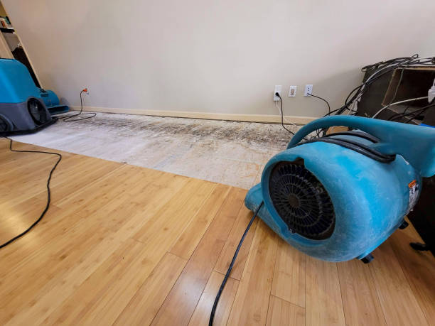 Professional Structural Drying technician working in Worthington, IN